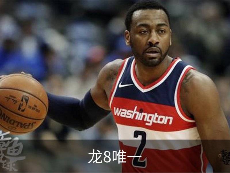 龙8唯一简介